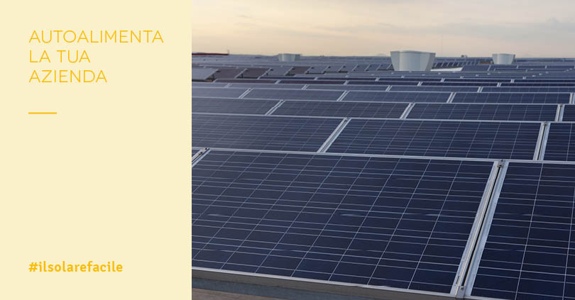 Energia elettrica per Aziende: vantaggi dell'autoconsumo fotovoltaico