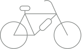 bici_wolmann.png